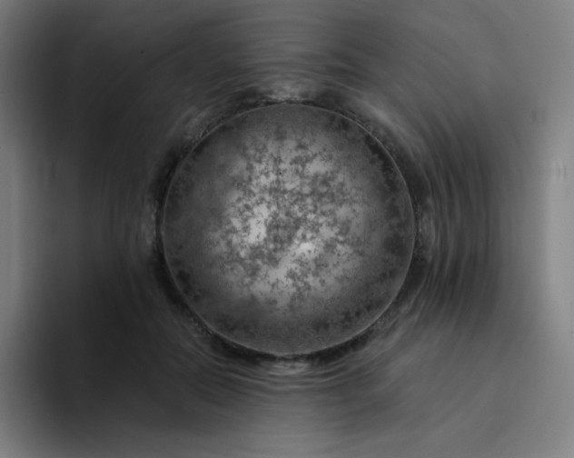 X0000094380554200711162133