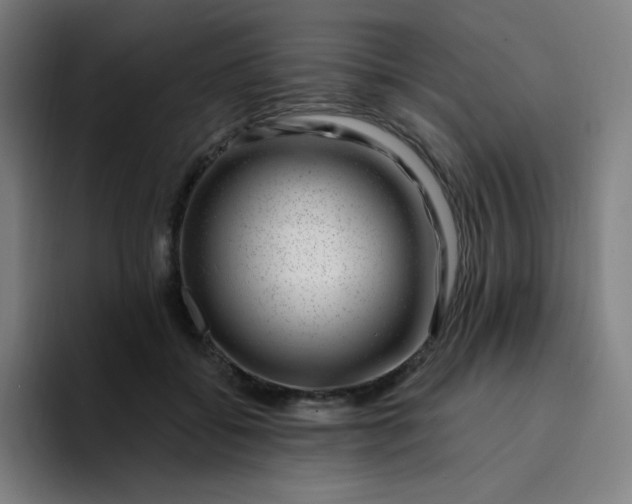 X0000094380556200711162133