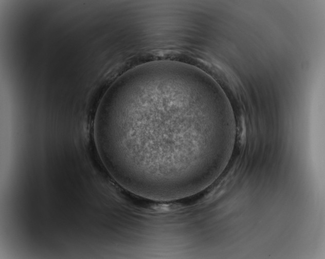 X0000094380558200711162133