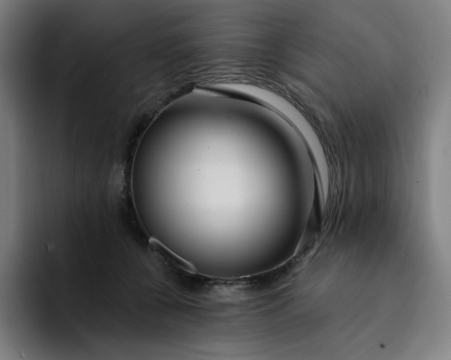X0000094380560200711162133