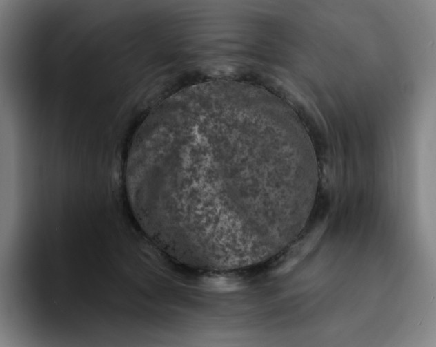 X0000094380561200711162133