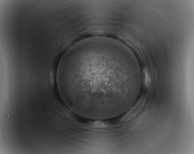 X0000094380562200711162133