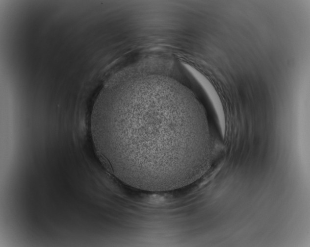X0000094380566200711162133