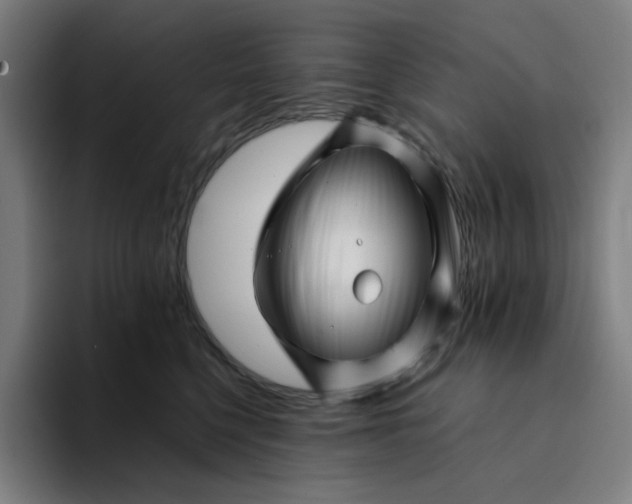 X0000094380568200711162133