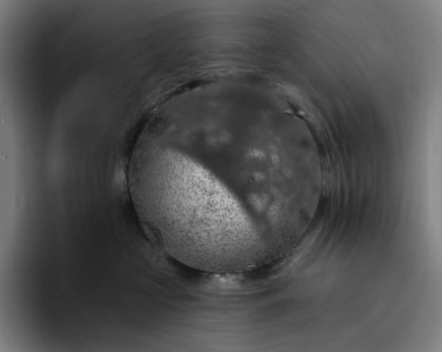 X0000094380573200711162133