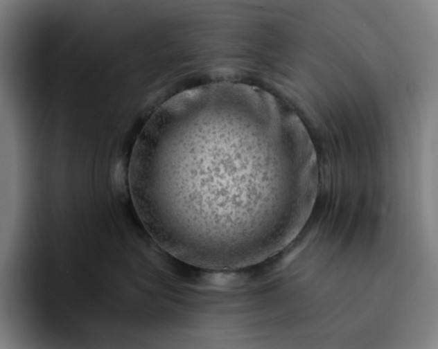 X0000094380575200711162133