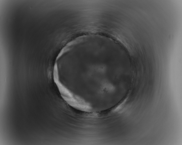 X0000094380576200711162133