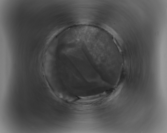 X0000094380577200711162132