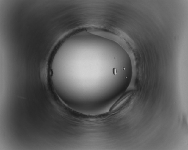 X0000094380580200711162132