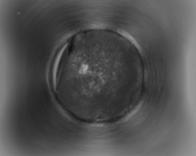 X0000094380581200711162132