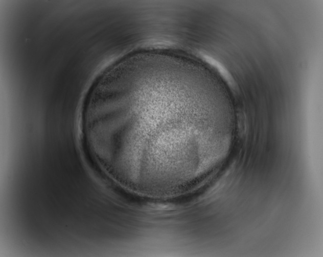 X0000094380582200711162132