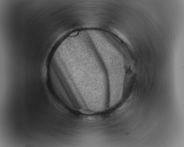 X0000094380584200711162132