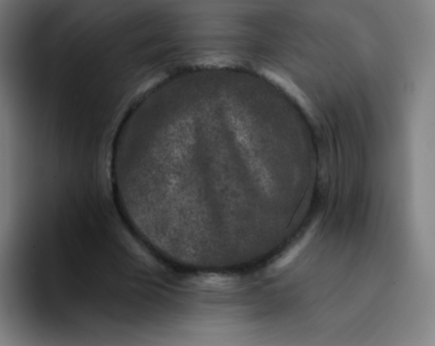 X0000094380585200711162132