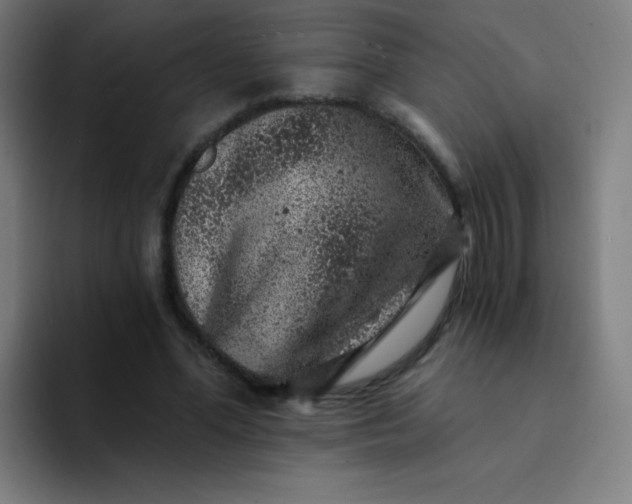 X0000094380588200711162132