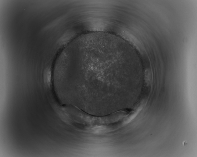 X0000094380589200711162132