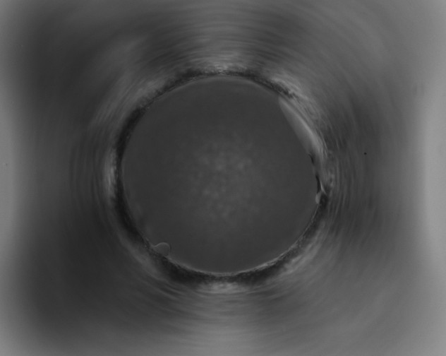 X0000094380590200711162132