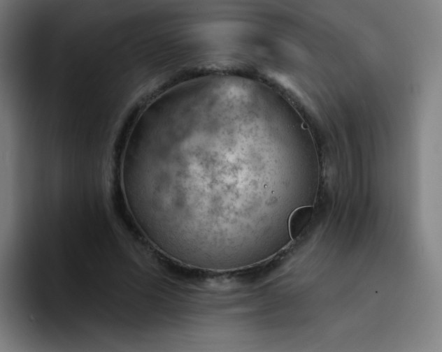 X0000094380591200711162132