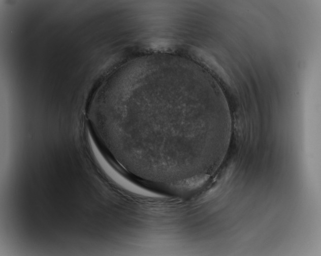 X0000094380593200711162132