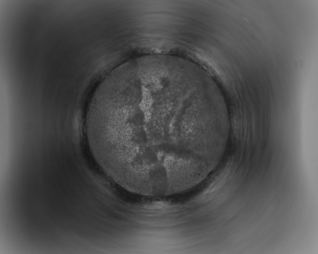 X0000094380594200711162132