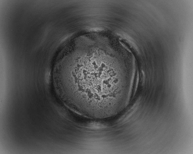 X0000094380596200711162132