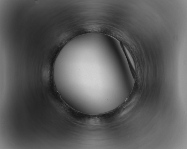 X0000094380600200711162132