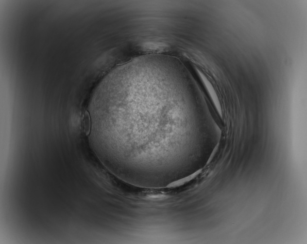 X0000094380601200711162132