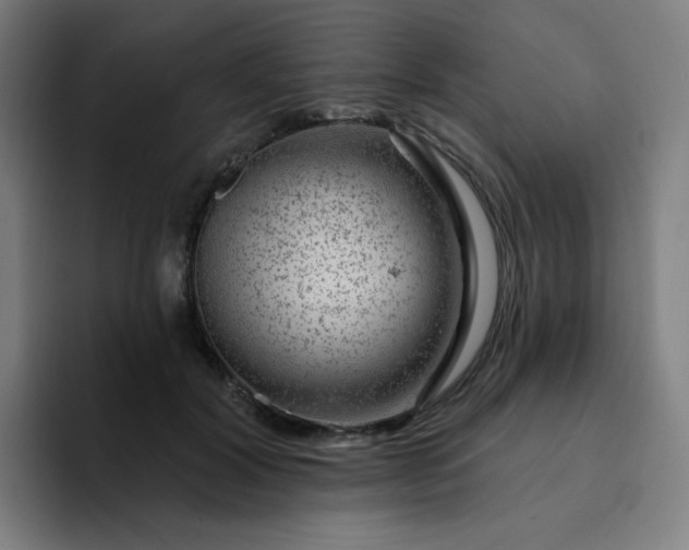 X0000094380604200711162132