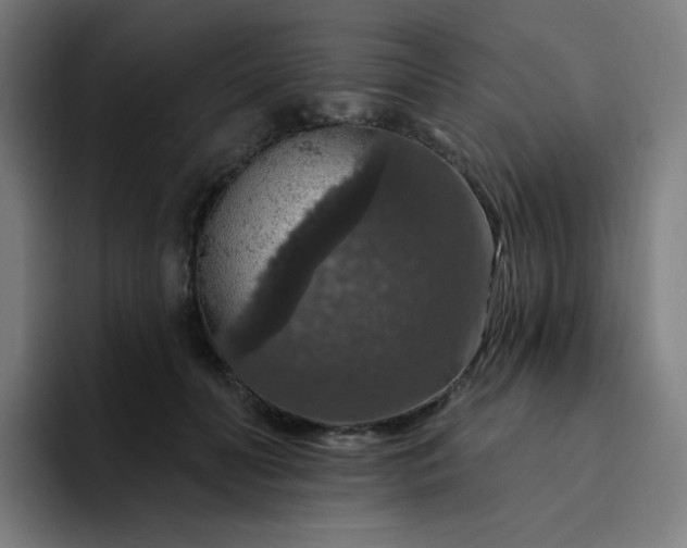 X0000094380606200711162132