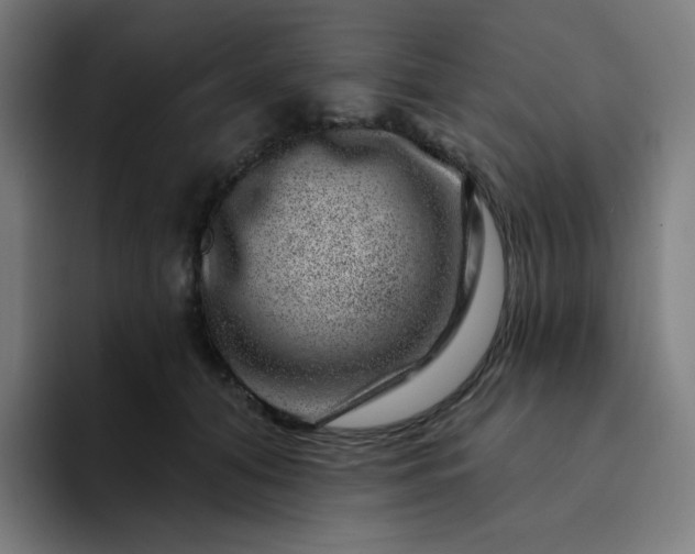 X0000094380608200711162132