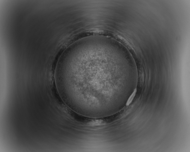 X0000094380609200711162132