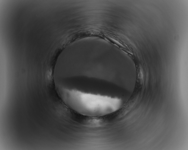 X0000094380610200711162132