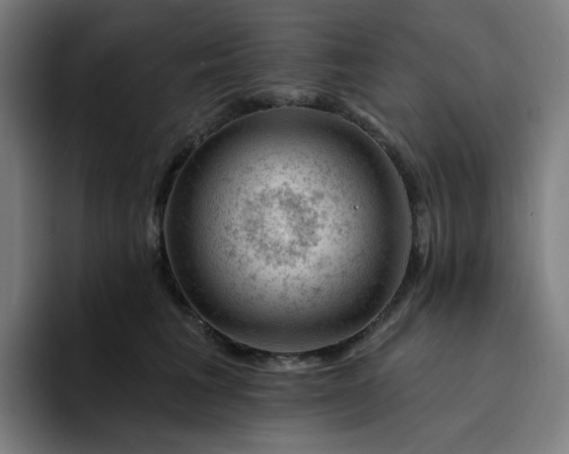 X0000094380613200711162132
