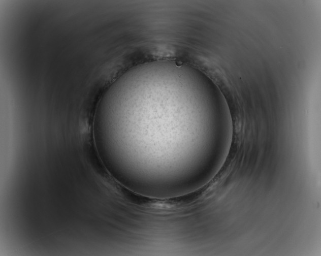 X0000094380614200711162132