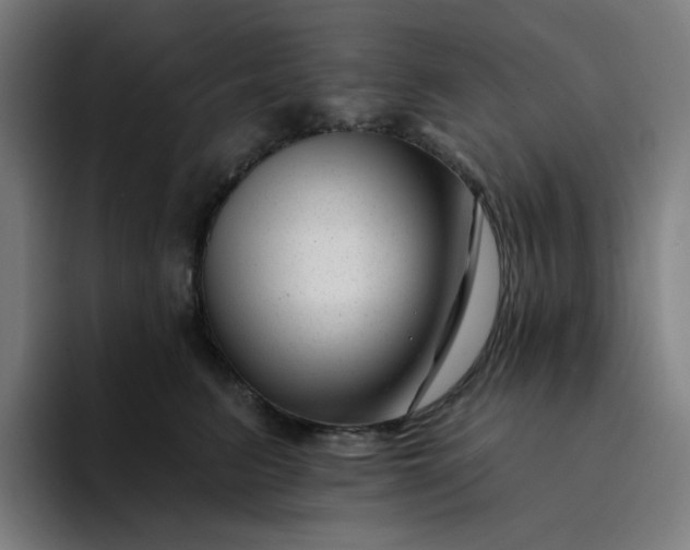 X0000094380615200711162132