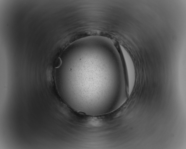 X0000094380616200711162132