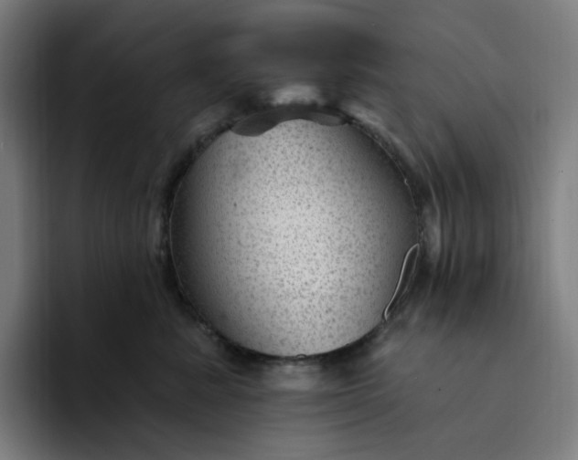 X0000094380619200711162132