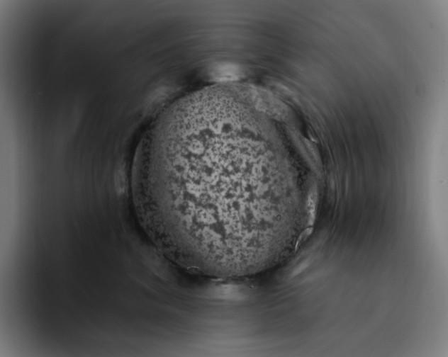 X0000094380620200711162132