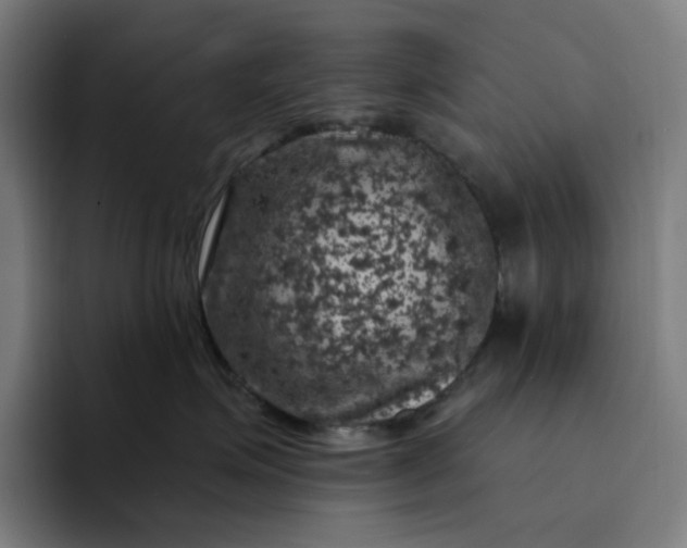 X0000094380623200711162132