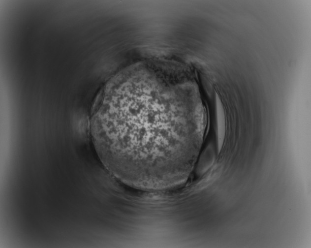 X0000094380624200711162132
