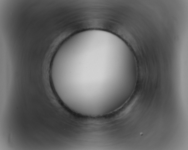 X0000094380625200711162131