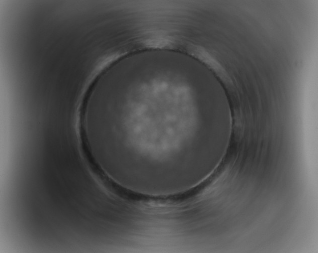 X0000094380626200711162131