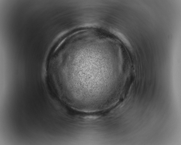 X0000094380628200711162131