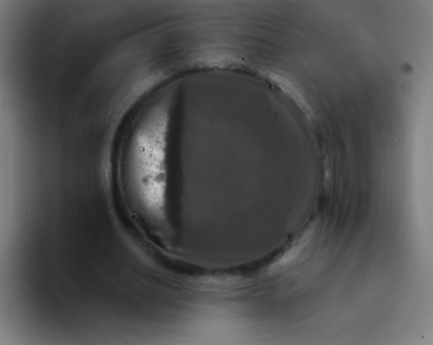 X0000094380630200711162131