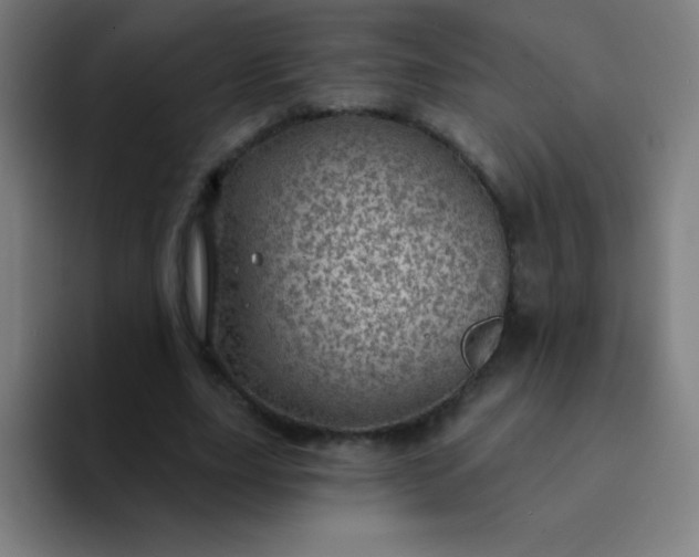 X0000094380631200711162131