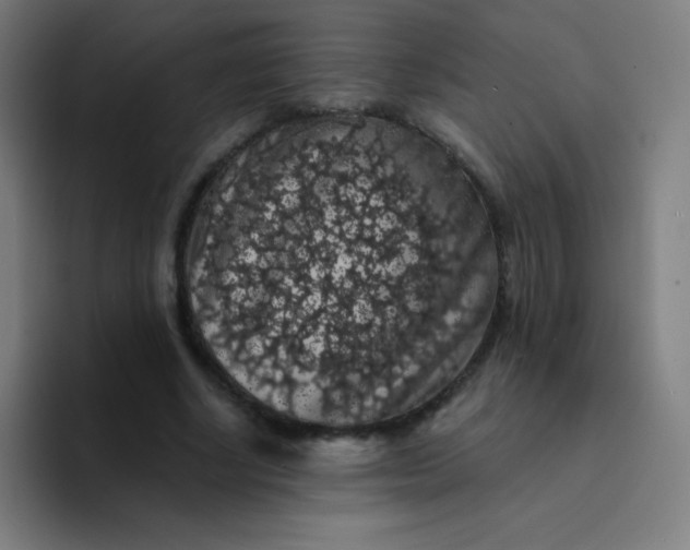 X0000094380634200711162131