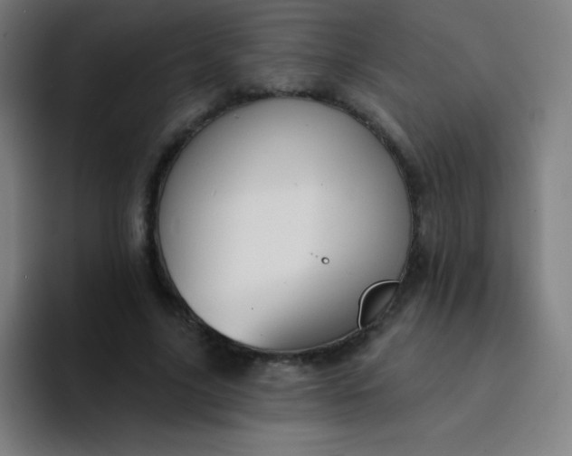 X0000094380635200711162131