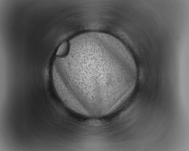 X0000094380636200711162131