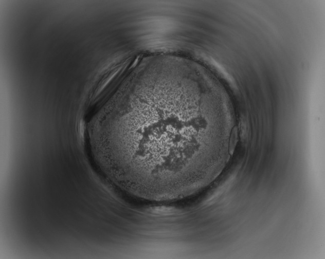 X0000094380637200711162131