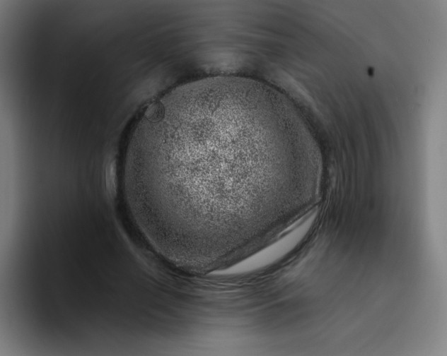 X0000094380638200711162131