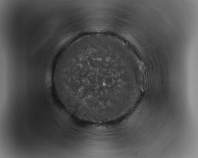 X0000094380640200711162131